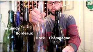 Types of Wine Bottles and Their Origins  What is the Best for You [upl. by Ambrosine]