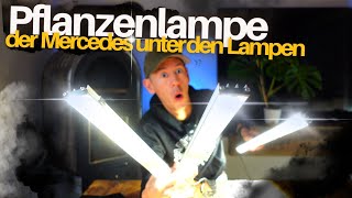 Die perfekte Pflanzenlampe für deine Zimmerpflanzen  LED SANlight Flex 2 [upl. by Ethelstan]