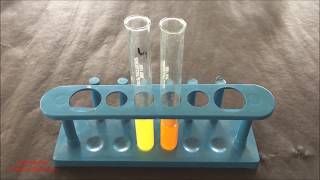 Phytochemical Test for Flavonoid  Flavonoid Identification Test  Flavonoid Test  ENGLISH [upl. by Aihsoem447]