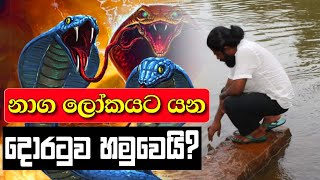 නාග ලෝකයේ දොරටුව හමුවෙයි │Naga Lokaya│ │Kelani Viharaya Temple│  Beyond Illusion to Reality [upl. by Mccurdy]