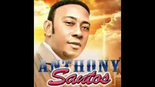 Anthony Santos  Bachata MIX 2014 [upl. by Nnednarb898]