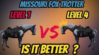 RDR 2 Missouri Fox Trotter LVL 1 VS LVL 4 Is It Really Better [upl. by Sammer]