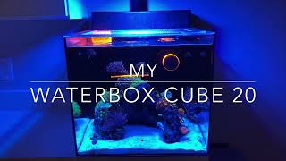 Waterbox Cube 20 6 Month Update [upl. by Jorge]