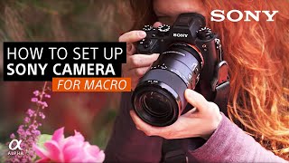 How To Set Up Your Sony Camera For Macro  Sony Alpha Universe [upl. by Merl]