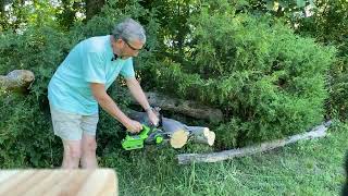 Greenworks 40v 12inch chainsaw review movie [upl. by Borer]