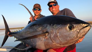 Massive Yellowfin Tuna Vs Big Blackfin Tuna Catch Clean Cook blind Taste test [upl. by Goer]