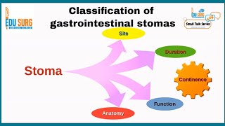 Stoma  Gastrointestinal stoma classification  Ileostomy  colostomy  stoma education series [upl. by Elison]