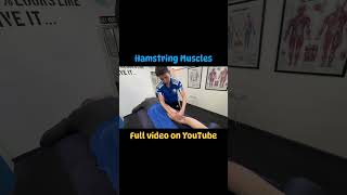 The Surprising Anatomy of Your Hamstrings [upl. by Dinerman]