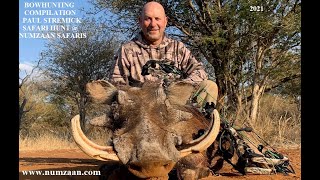 South Africa Bowhunting Safari Compilation of Wart Hog Impala Gemsbok amp Kudo at Numzaan Safaris BOW [upl. by Arakahs]