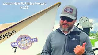 Jackson Hole Fly Fishing Forecast 6123 [upl. by Trebloc]