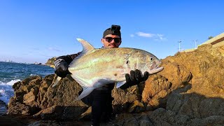 SOLO rockfishing amazing Pacific crevalle jack action [upl. by Felike]