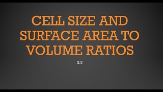 23 Cell Size AP Biology [upl. by Adnilam]