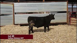 Lot 40 Gaffney Heisman 4207 [upl. by Lennie966]