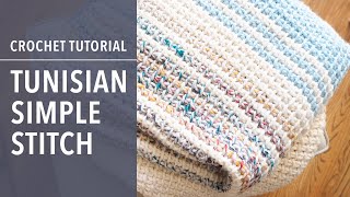 How to Crochet the Tunisian Simple Stitch A Stepbystep Stitch Tutorial [upl. by Radie]