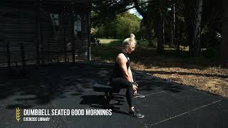 Seated Dumbbell Good Mornings [upl. by Elay]