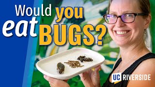 The truth about eating bugs entomophagy with Erin WilsonRankin [upl. by Willock]