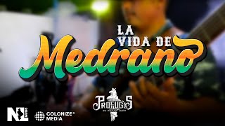 Prófugos de Nuevo León  La Vida De Medrano En Vivo [upl. by Ynnohj]