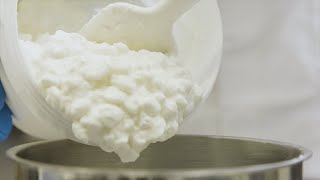 How to Smooth Cottage Cheese [upl. by Radburn283]