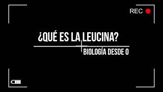 ¿Qué es la leucina  El ABC de la Biología [upl. by Etnovaj]