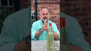 Homemade Limoncello Taste Test [upl. by Lehman]