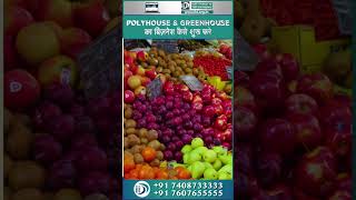 Polyhouse और Greenhouse का Business कैसे शुरू करें। [upl. by Inilam437]