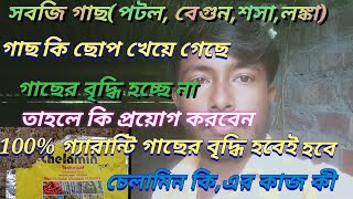 সবজি গাছ ছোপ খেয়ে গেছেchelamin plus uses bengaliচেলামিনের ব্যাবহারচেলামিন এর কাজ চেলামিন কি [upl. by Assirak]