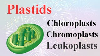 PlastidsChloroplastChromoplast and Leucoplasttheir Function in plants By Smart Learning 47 [upl. by Lezley]