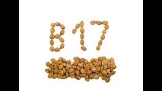 Why YOU should STOP Looking for VITAMIN B17 [upl. by Gautier620]