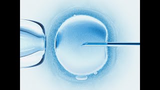 Pressure for IVF success obscures ethical issues [upl. by Elesig]