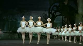 Little Swan Dance in SWAN LAKE a Tchaikovsky ballet with Rudolf Nureyev and Margot Fonteyn 1966 [upl. by Carman36]