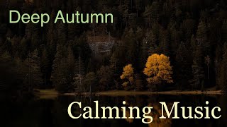 Deep autumn  melancholic mood  cozy music [upl. by Lasyrc]