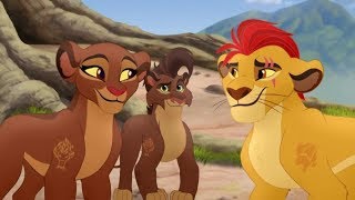 Lion Guard Kion and Rani want to gather animals to prove Beshte isnt bad [upl. by Anilok]