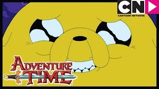 Adventure Time  Jake The Dog  Cartoon Network [upl. by Polik]