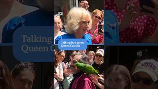 Queen Camilla meets Caesar the talking parrot  ABC News [upl. by Lust]