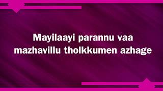 Mayilaayi Parannu Vaa Karaoke song with English Lyrics [upl. by Vasti]