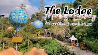 The Lodge Maribaya 2024  Staycation diatas Pohon 🤔 [upl. by Kuster]