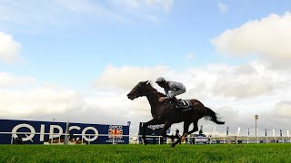 OLYMPIC GLORY wins the 2013 QE II Stakes Gr1 [upl. by Hcnarb280]