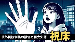 【☑︎視床出血 感覚障害】視床の後外側腹側核（VPL）とは？感覚障害と身体失認まで解説！ [upl. by Ecirtnas]