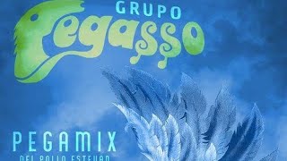 PEGASSO DEL POLLO ESTEVAN PEGAMIX [upl. by Ardnasxela]