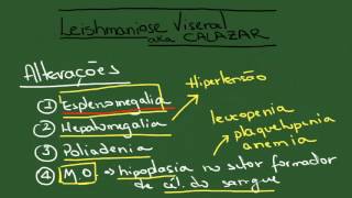 Leishmaniose Visceral Calazar  Resumo  Parasitologia [upl. by Willey]