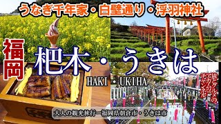 福岡観光はこれで決まり！【杷木・うきは観光】ー旅とグルメのアカムツチャンネル [upl. by Bearnard634]