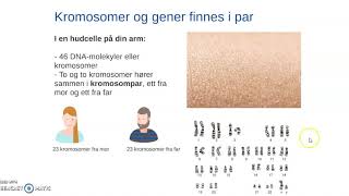 DNA gener og replikasjon [upl. by Etteluap]