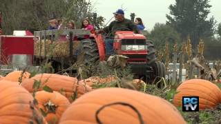 Meet the Farmer the modernday pumpkin patch [upl. by Eahsel]