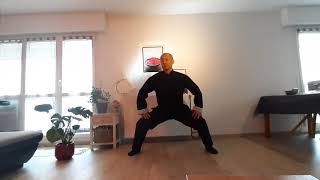 Qi Gong  Les 8 pièces de brocart [upl. by Naerad]