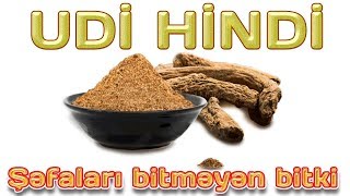 UDİ HİNDİ  ŞƏFALARI BİTMƏYƏN BİTKİ [upl. by Adnilev]