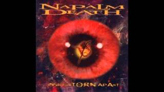 Napalm Death Inside The Torn Apart 1997 full album [upl. by Northington255]