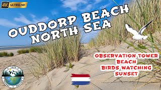 OUDDORP Nordzee Part 1  Beach Bird Watching and Sunset  Netherland  GoPro 11 amp iSteady Pro 4 [upl. by Vonni161]