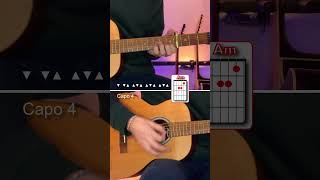 THIS IS THE LIFE  Amy Macdonald  shorts guitar acousticguitar youtubecreatorcommunity [upl. by Ahsikam]