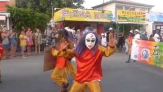 CARNAVAL 2014 Sainte Anne Guadeloupe [upl. by Nathanson]