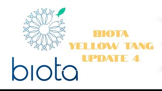 Biota Yellow Tang Update  Day 4  Acclimation amp Feeding [upl. by Revilo]